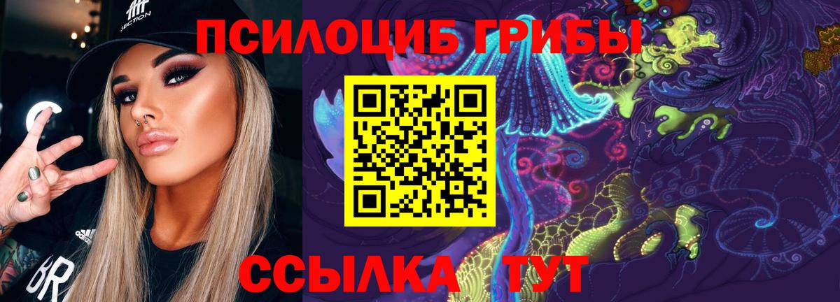 Псилоцибиновые грибы мицелий Клин